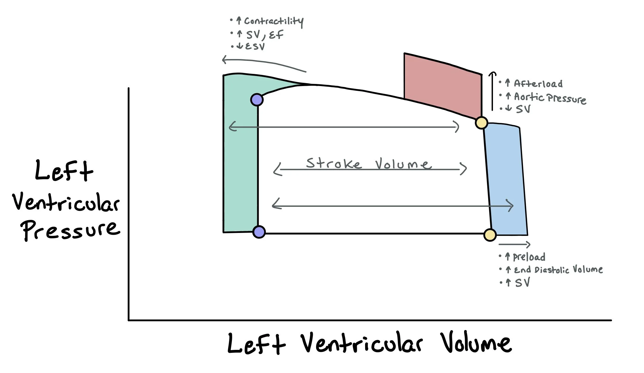 Cardiogenic Shock — When the Beat Drops: A Resident's Guide to the CCU